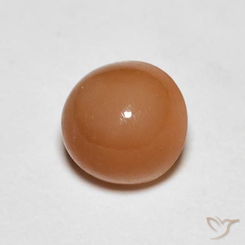 1.06 ct Orange Moonstone Stone, Natural Moonstone in Round Cabochon Shape for Sale