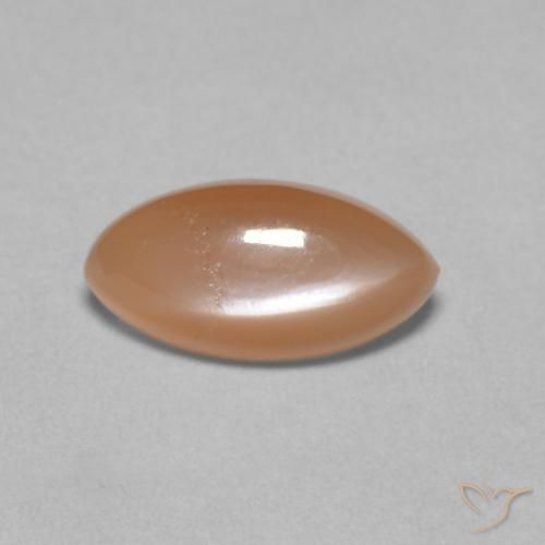 1.25ct Natural Pale Cantaloupe Orange Moonstone, Marquise, Translucent
