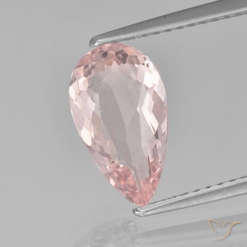 Light Coral Pink Morganite Gem - 1.5ct Pear Facet (ID: 457614)