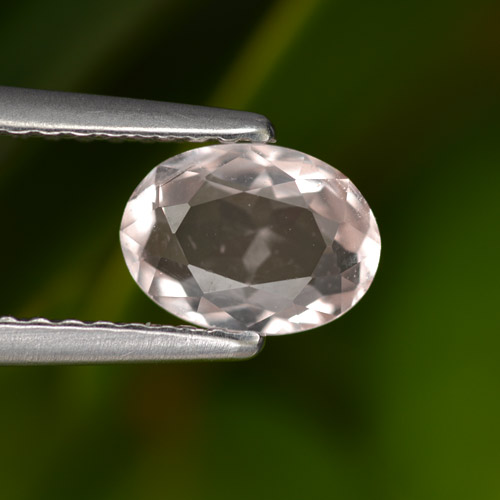 Flamant rose Morganite gemme - 0.7ct Ovale facette (ID: 457990)