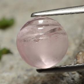 2.7ct Carved Round Cabochon Light Pink Morganite Gem for sale 2.7ct Carved Round Cabochon Light Pink Morganite Gem (ID: 472869)