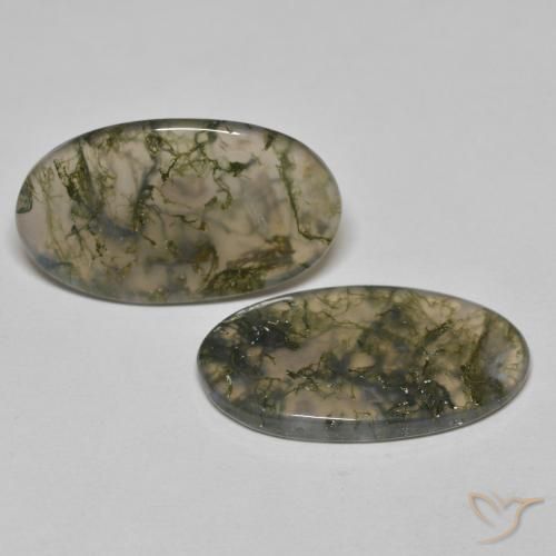 19.45 ctw Multicolor Moss Agate Stones, Natural Moss Agate in Oval Cabochon Shape for Sale