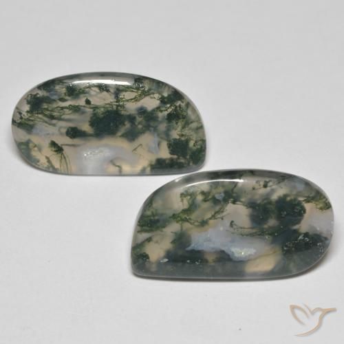 23.3 ct Fancy Moss Agate, 23.9 x 12.6 mm From India, Photo A