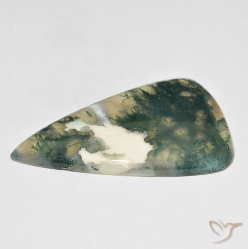 Moss Agate Gemstone in 51.8 x 32.6 mm Size for Sale, Moss Agate Stone in Multicolor Color