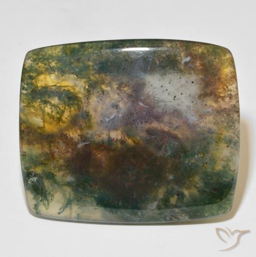 86.48 ct Cushion Moss Agate, 43.7 x 36.9 mm From India, Photo A