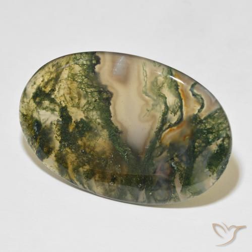 47.75 ct Multicolor Moss Agate Stone, Natural Moss Agate in Oval Cabochon Shape for Sale