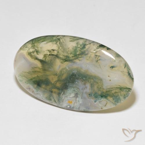 48.97 ct Multicolor Moss Agate Stone, Natural Moss Agate in Oval Cabochon Shape for Sale