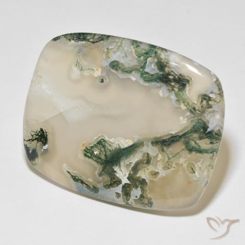 82.54 ct Multicolor Moss Agate Stone, Natural Moss Agate in Cushion Cabochon Shape for Sale