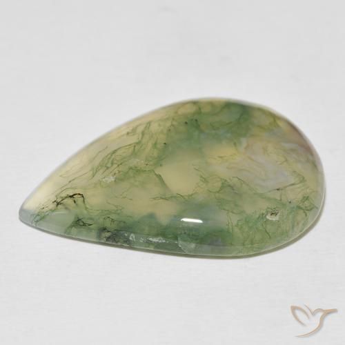 Moss Agate Gemstone in 31.7 x 23.5 mm Size for Sale, Moss Agate Stone in Multicolor Color