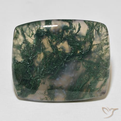 27.23 ct Cushion Moss Agate, 27.3 x 23.1 mm From India, Photo A