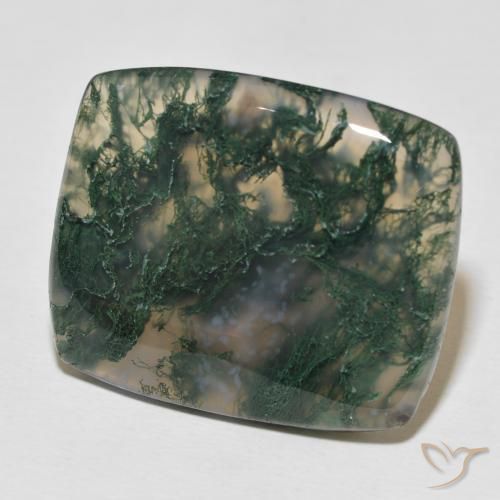 27.23 ct Multicolor Moss Agate Stone, Natural Moss Agate in Cushion Cabochon Shape for Sale