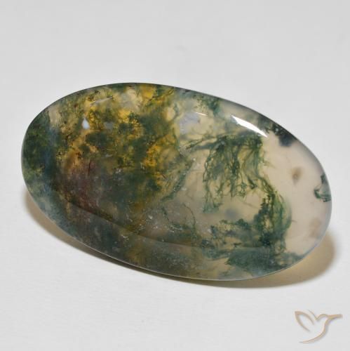 47.03 ct Multicolor Moss Agate Stone, Natural Moss Agate in Oval Cabochon Shape for Sale