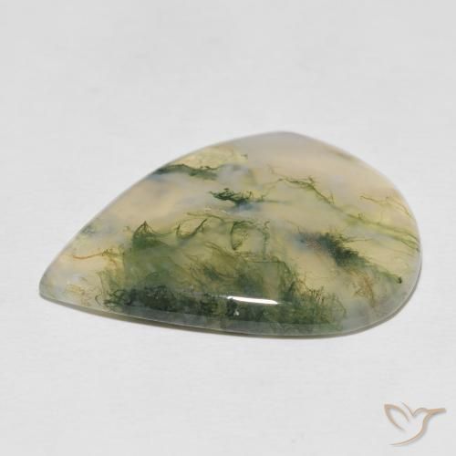 Moss Agate Gemstone in 30.3 x 23.6 mm Size for Sale, Moss Agate Stone in Multicolor Color