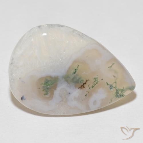 30.59 ct Multicolor Moss Agate Stone, Natural Moss Agate in Pear Cabochon Shape for Sale