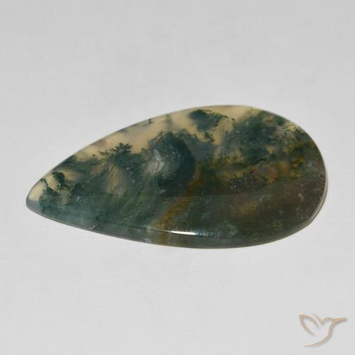 Moss Agate Gemstone in 52.1 x 34.7 mm Size for Sale, Moss Agate Stone in Multicolor Color