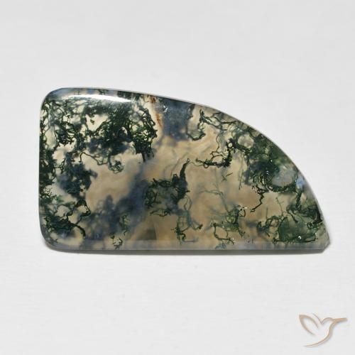 12.73ct Natural Multicolor Moss Agate, Fancy, Translucent