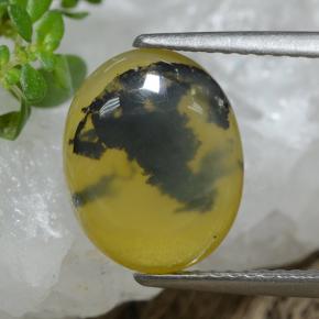 2.98 ct Yellow Moss Opal Gemstone, Moss Opal Gem in Oval Cabochon Shape for Sale.