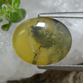 2.98 ct Yellow Moss Opal Stone, Natural Moss Opal in Oval Cabochon Shape for Sale