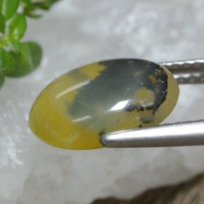 Moss Opal Gemstone in 11.5 x 9.3 mm Size for Sale, Moss Opal Stone in Yellow Dendrite Color