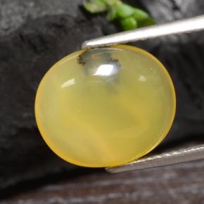3.65 ct Yellow Moss Opal Stone, Natural Moss Opal in Oval Cabochon Shape for Sale