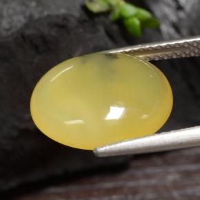 Moss Opal Gemstone in 13.3 x 11.3 mm Size for Sale, Moss Opal Stone in Yellow Dendrite Color