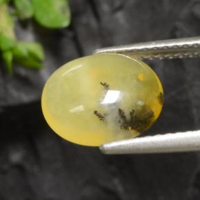 Moss Opal Gemstone in 10.2 x 9 mm Size for Sale, Moss Opal Stone in Yellow Dendrite Color