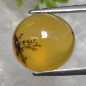 5.08 ct Yellow Moss Opal Stone, Natural Moss Opal in Oval Cabochon Shape for Sale