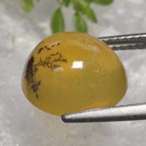 Moss Opal Gemstone in 11.8 x 10.9 mm Size for Sale, Moss Opal Stone in Yellow Dendrite Color