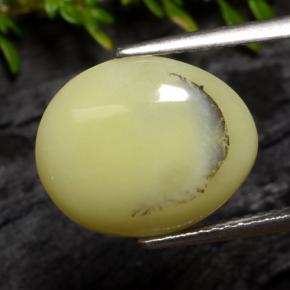 4.25 ct Yellow Moss Opal Stone, Natural Moss Opal in Oval Cabochon Shape for Sale