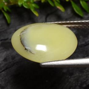 Moss Opal Gemstone in 14 x 12 mm (calibrated) Size for Sale, Moss Opal Stone in Cream Yellow Color