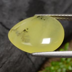 Moss Opal Gemstone in 14.2 x 11.6 mm Size for Sale, Moss Opal Stone in Yellow Dendrite Color