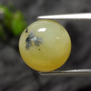 2.73 ct Yellow Moss Opal Gemstone, Moss Opal Gem in Round Cabochon Shape for Sale.
