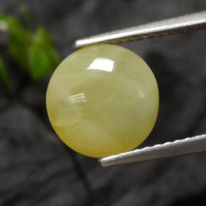 2.73 ct Yellow Moss Opal Stone, Natural Moss Opal in Round Cabochon Shape for Sale