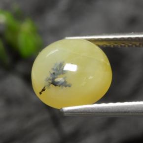 Moss Opal Gemstone in 9.3 mm Size for Sale, Moss Opal Stone in Yellow Dendrite Color