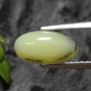 1.12 ct Yellow Moss Opal Stone, Natural Moss Opal in Oval Cabochon Shape for Sale
