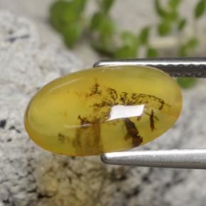 Moss Opal Gemstone in 12.1 x 8.2 mm Size for Sale, Moss Opal Stone in Yellow Dendrite Color