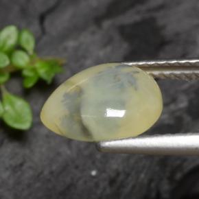 Moss Opal Gemstone in 9.9 x 8.6 mm Size for Sale, Moss Opal Stone in Yellow Dendrite Color