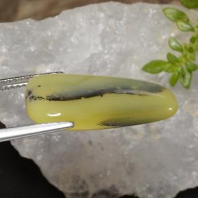 Moss Opal Gemstone in 22.2 x 11.2 mm Size for Sale, Moss Opal Stone in Yellow Dendrite Color