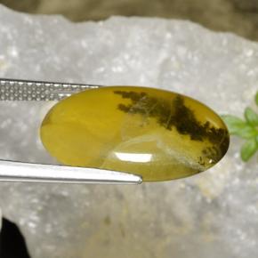 Moss Opal Gemstone in 17.8 x 12.7 mm Size for Sale, Moss Opal Stone in Yellow Dendrite Color