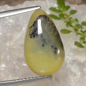4.6ct Pear Cabochon Yellow Dendrite Moss Opal Gem for sale 4.6ct Pear Cabochon Yellow Dendrite Moss Opal Gem (ID: 470415)