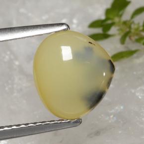 1.59 ct Yellow Moss Opal Stone, Natural Moss Opal in Pear Cabochon Shape for Sale