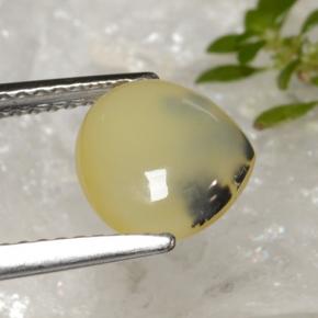 Moss Opal Gemstone in 9 x 8.3 mm Size for Sale, Moss Opal Stone in Yellow Dendrite Color