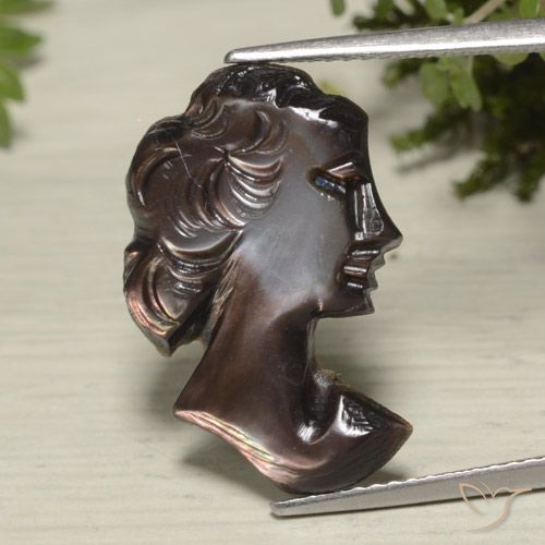 20,2x13,5 mm Madreperla marrone taglio fantasia dalla Cina, peso di 5,69 ct, pietra preziosa naturale non trattati in purezza Opaque, 1 pezzo Madreperla Cameo intagliato - Colore: Marrone cioccolato, durezza Mohs di 2,5 - 4,5 , Photo A