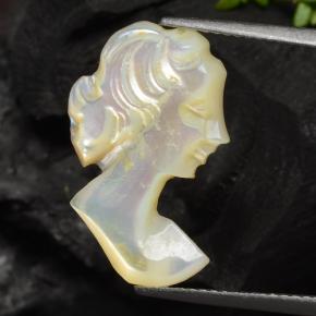 4ct Carved Cameo Multicolor Mother of Pearl Gem for sale 4ct Carved Cameo Multicolor Mother of Pearl Gem (ID: 474648)