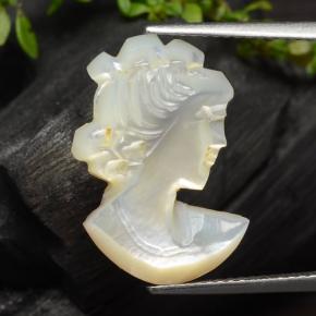 4.6ct Carved Cameo Multicolor Mother of Pearl for sale thumb image of 4.6ct Carved Cameo Multicolor Mother of Pearl (ID: 474650)