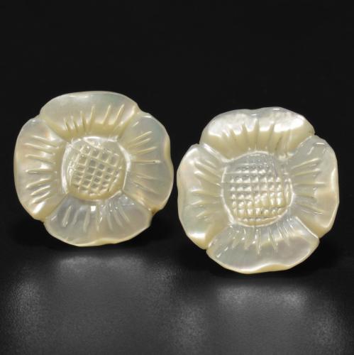 Pearl White Mother of Pearl Gem - 15.2ct Carved Rose (ID: 579377)