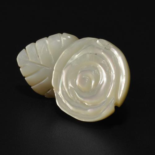 24,2x14,6 mm Madreperla bianco taglio fiore dalla Cina, peso di 14,71 ct, pietra preziosa naturale Acqua dolce naturale in purezza Opaque, 1 pezzo Madreperla Rosa intagliata - Colore: bianco perla, durezza Mohs di 2,5 - 4,5 , Photo A