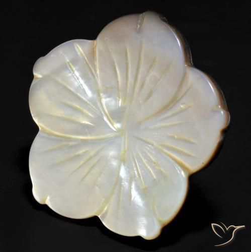 30,78ct Fiore intagliato multicolore Madreperla dalla Cina, Dimension 31x30,9 mm, Natural Acqua dolce naturale Gemstone, Opaque Clarity, 1 piece Madreperla in Multicolore Color, Mohs Hardness of 2,5 - 4,5, Photo A