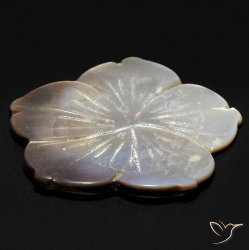 Mother of Pearl Gemstone in 33.2 x 33.1 mm Size for Sale, Mother of Pearl Stone in White Color