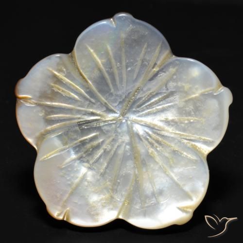 29 2ct 彩色珍珠母gem 从中国